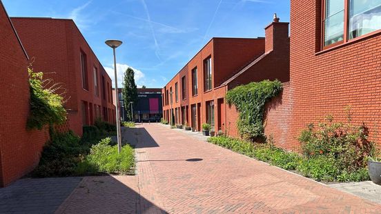 Stenen koken in Zwolle terwijl groen verkoeling brengt Nieuws