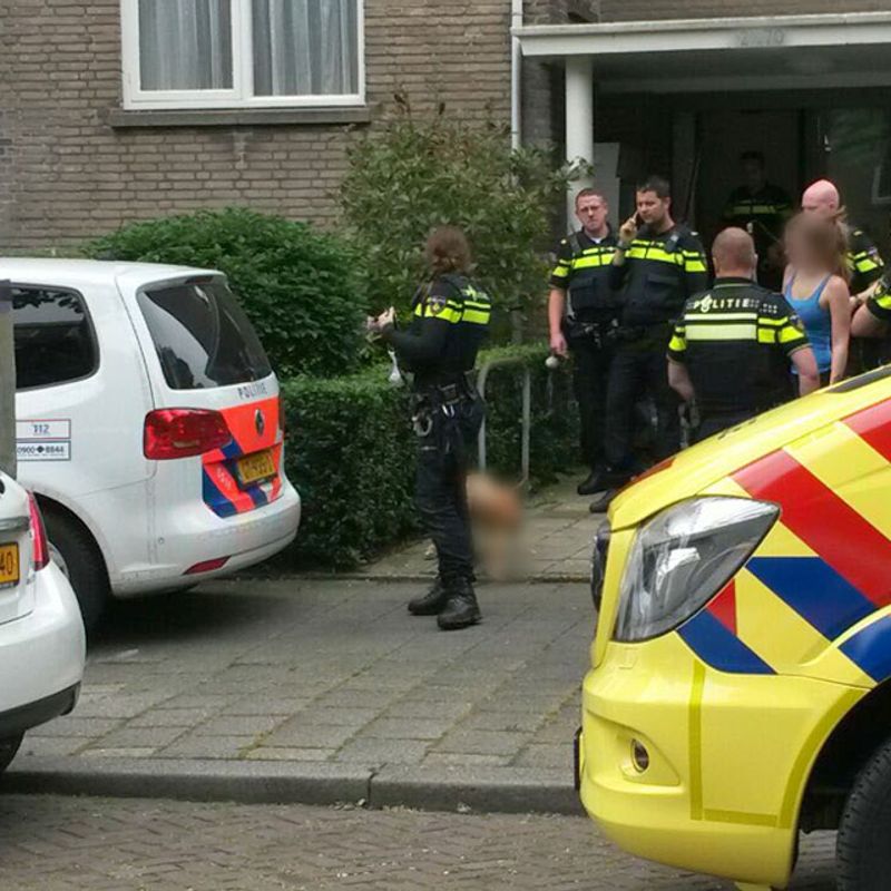 Hond krijgt test na bijtincident waarbij kind zwaargewond raakte in