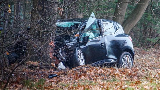 Man (27) overleden na botsing tegen boom Nieuws