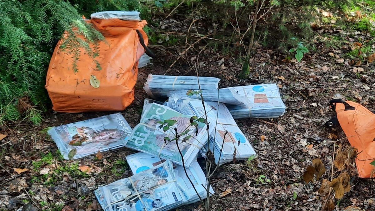 Enorme berg post gedumpt in bos: Waldie ziet ineens eigen adres