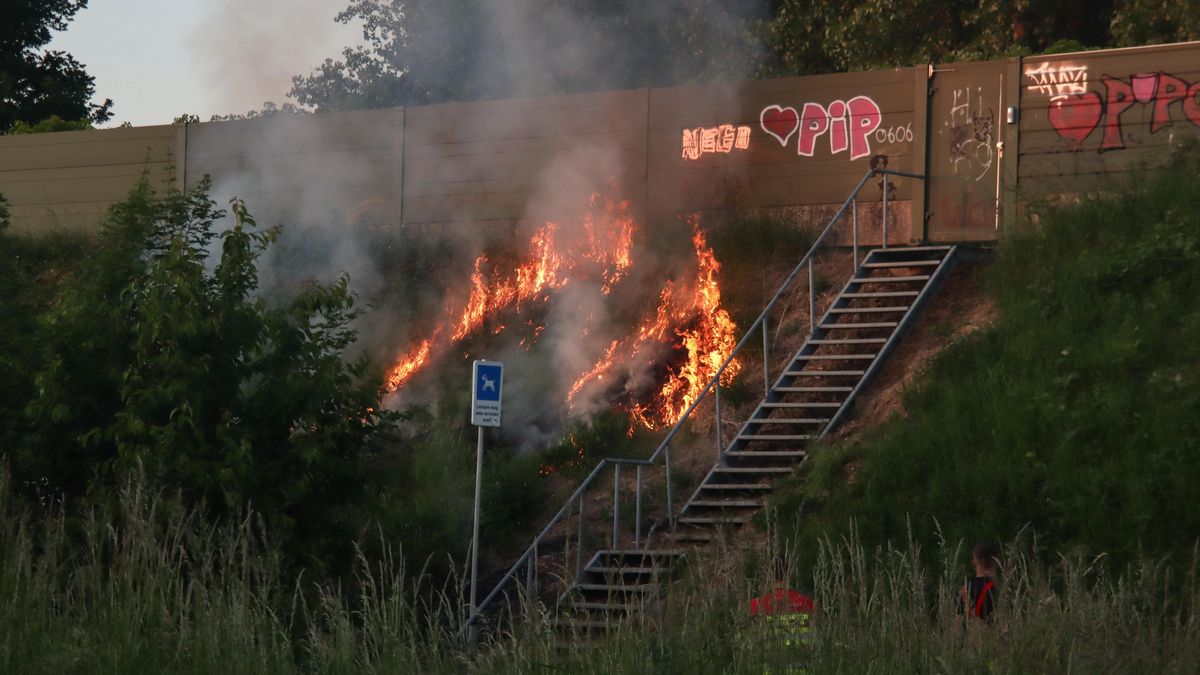 Bermbrand in Sittard: vuur snel onder controle