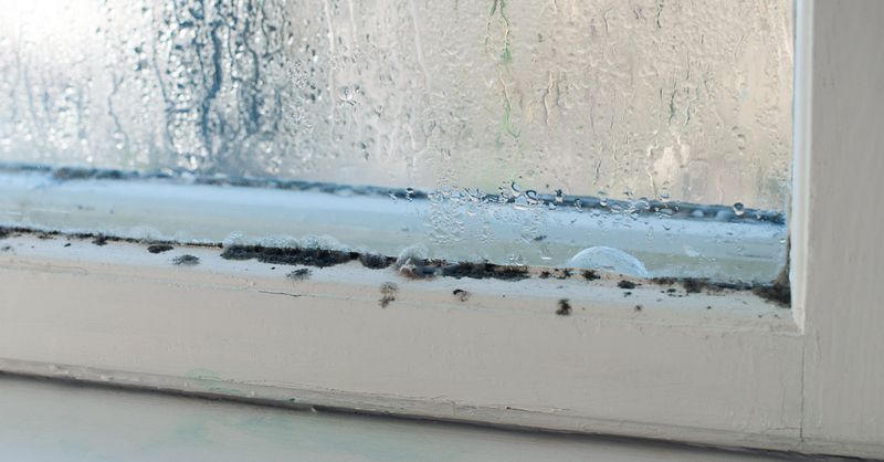 Vocht, schimmel en enkel glas: huurders in Maastricht protesteren - L1