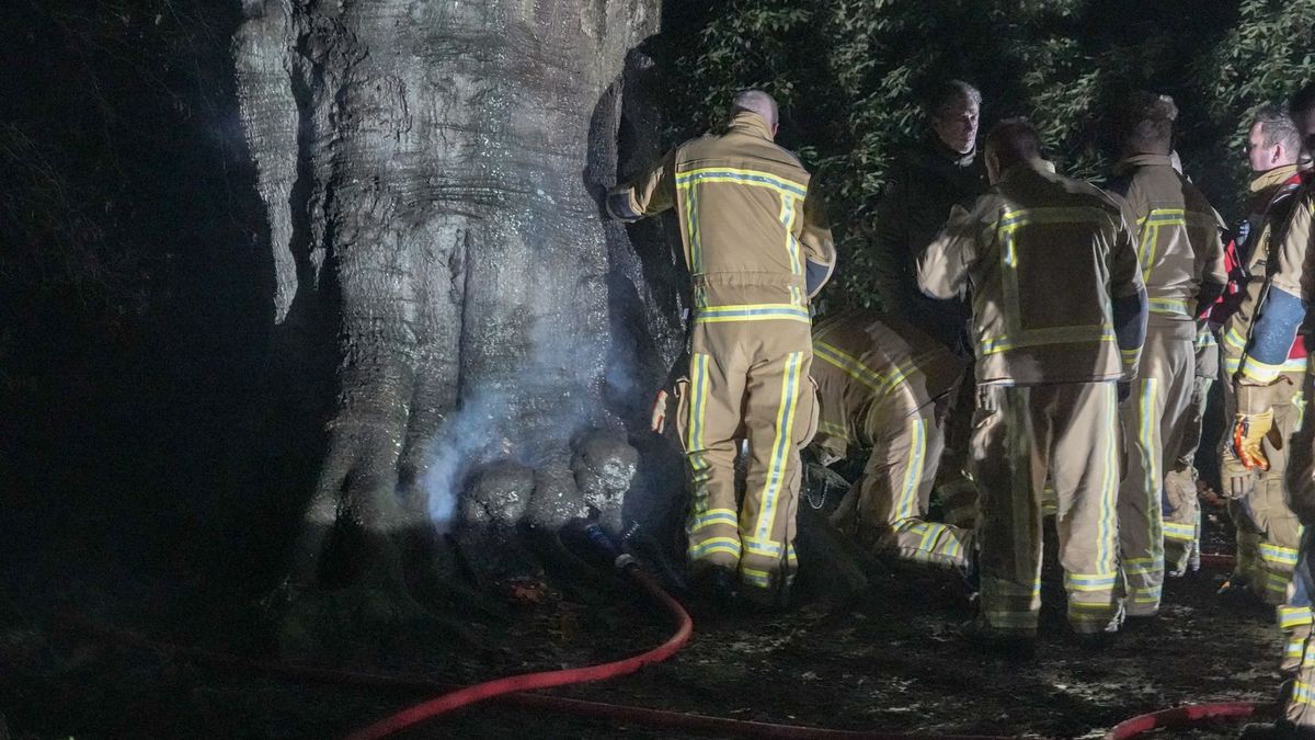 Brandweer blust brandende beuk op landgoed Paterswolde