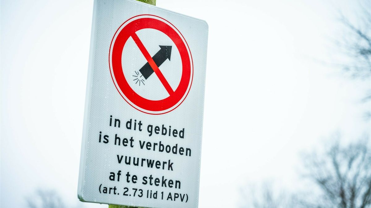 Vuurwerkvermijders vullen vuurwerkvrije vakantieparken: 'Er zijn gasten die het bewust opzoeken'