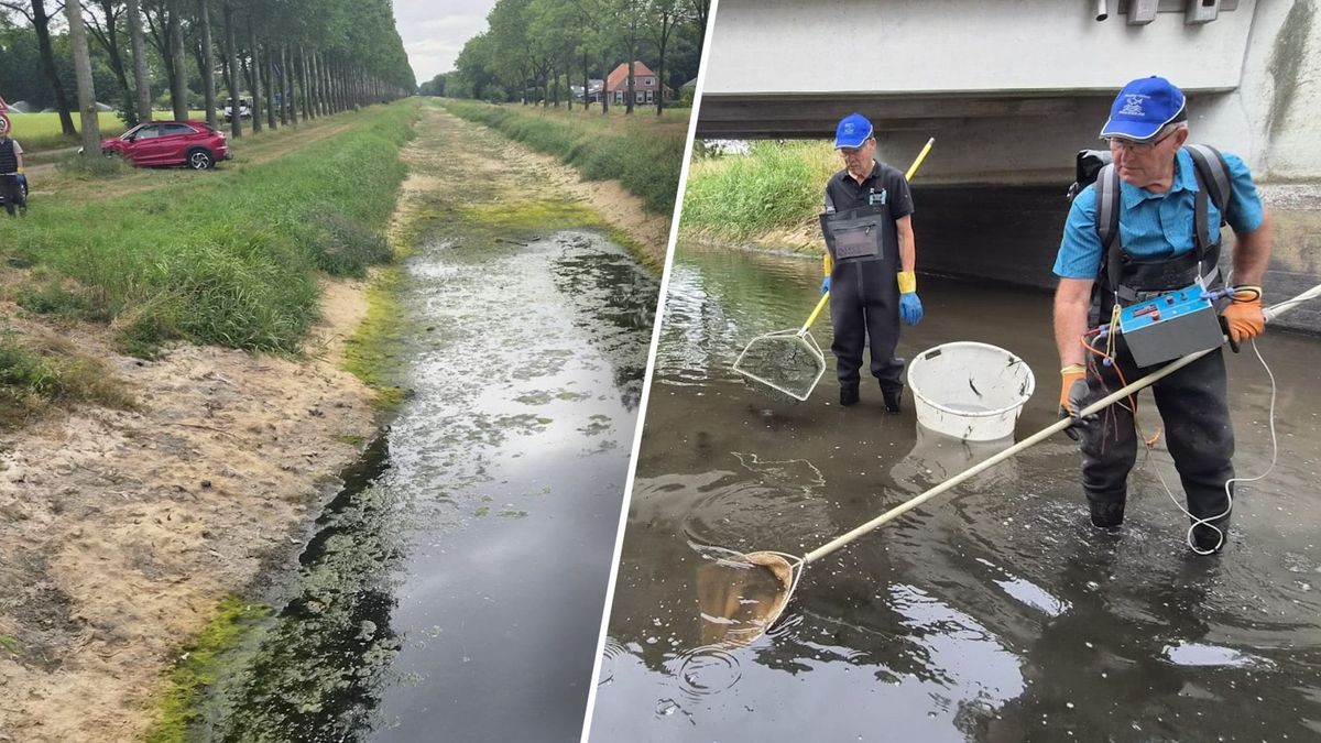 De visambulance heeft het druk: 'Het is keuzes maken'