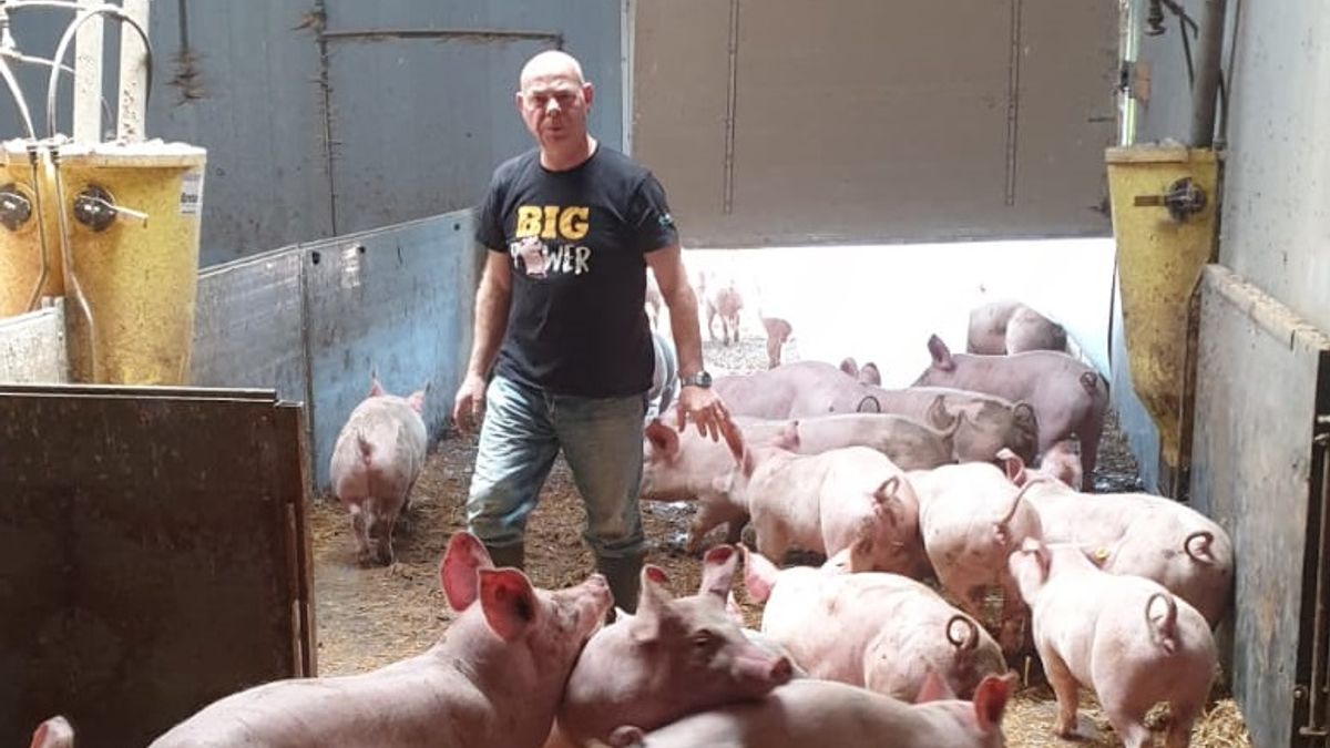 Boeren nemen maatregelen tegen activisten: 'Ik heb mijn honden loslopen'