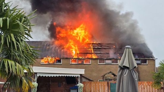 Vuurzee in Halle • politie lost waarschuwingsschoten