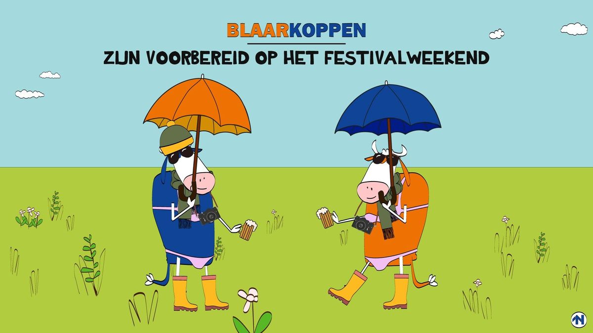Blaarkoppen weten dat één zwaluw nog geen zomer maakt - RTV Noord