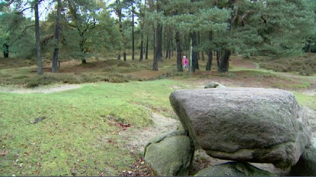 127 km over de mooiste paadjes (Rechten: Simone Oosterbaan / RTV Drenthe)