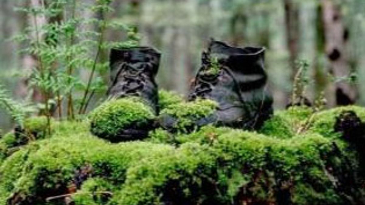 Hoe lang bestaat de avondvierdaagse? - Rijnmond