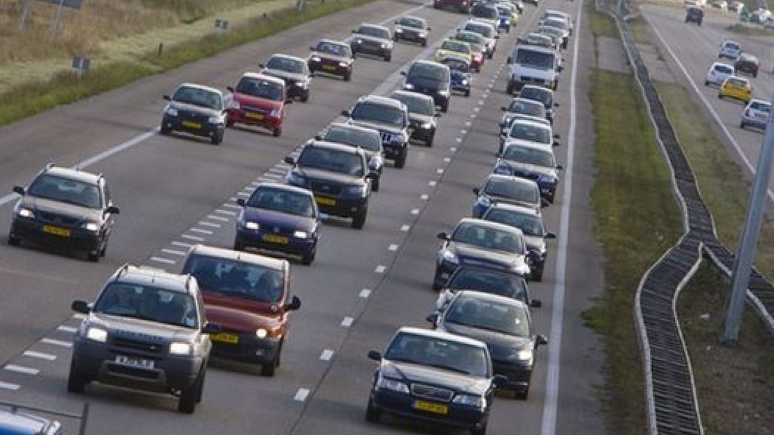 Ochtendspits remt wel voor dieren, file A12 door doodgereden haas