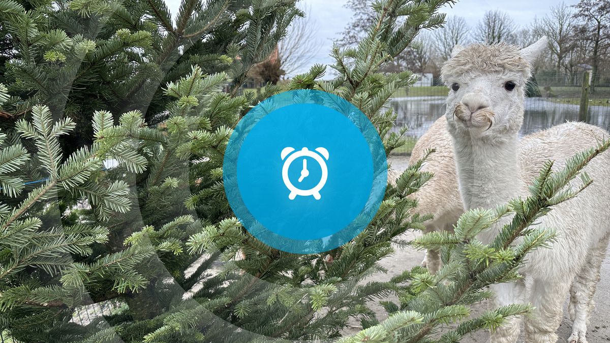 Goedemorgen! Flinke kou, terugblik op het weekend en bezoek staatssecretaris