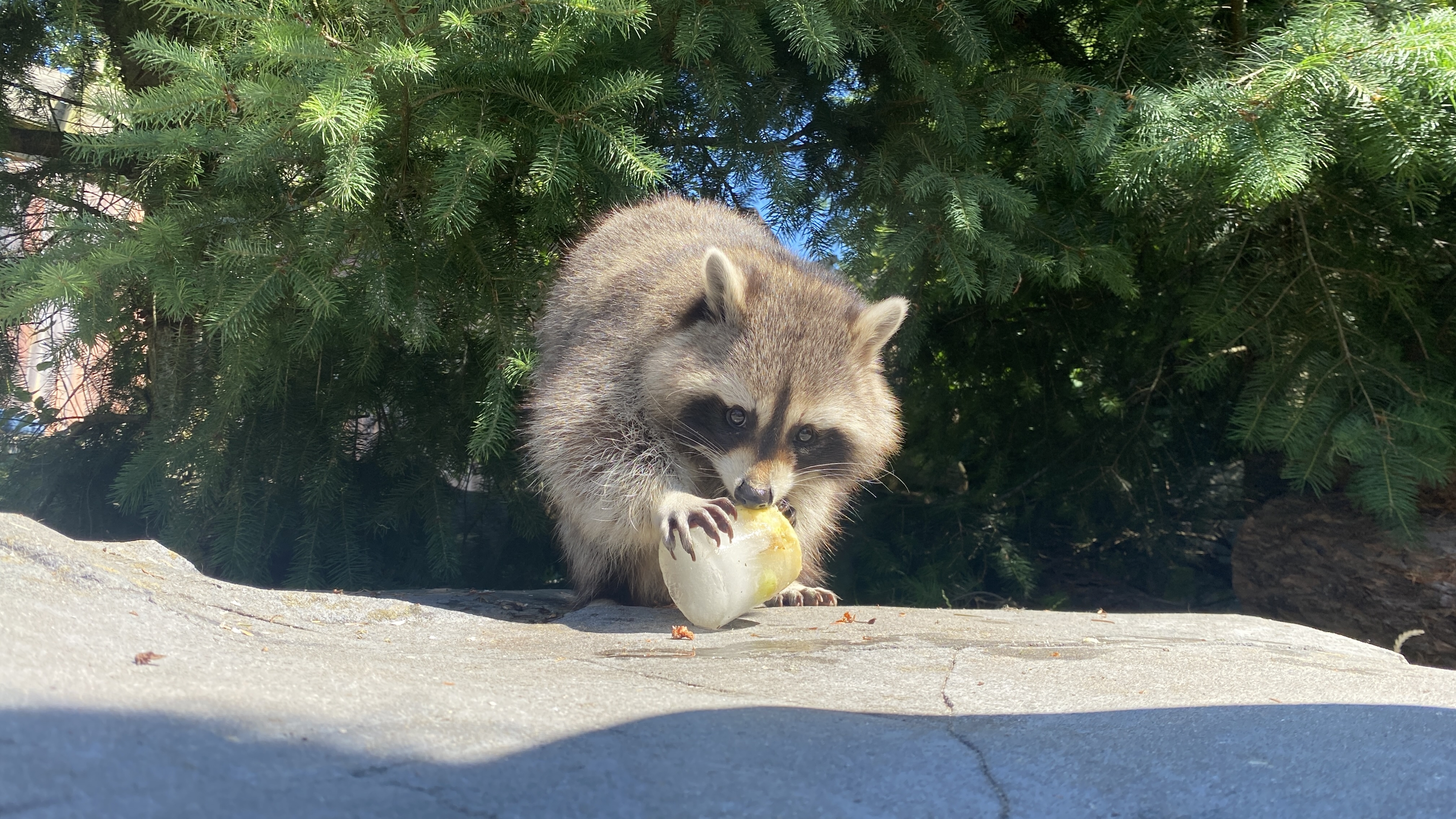 Lees terug: zo ging Drenthe om met de enorme warmte van vandaag
