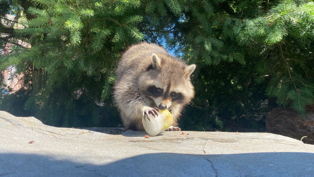Lees terug: zo ging Drenthe om met de enorme warmte van vandaag