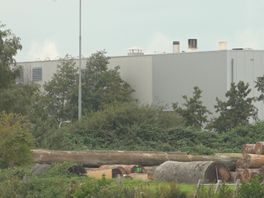Bedrijven weg uit Steenwijk om aanhoudende overlast IceBear: "Niet meer te doen hier"