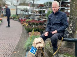 Geen belasting voor Baarnse hulphonden: 'Assistentiehonden steeds vaker ingezet'