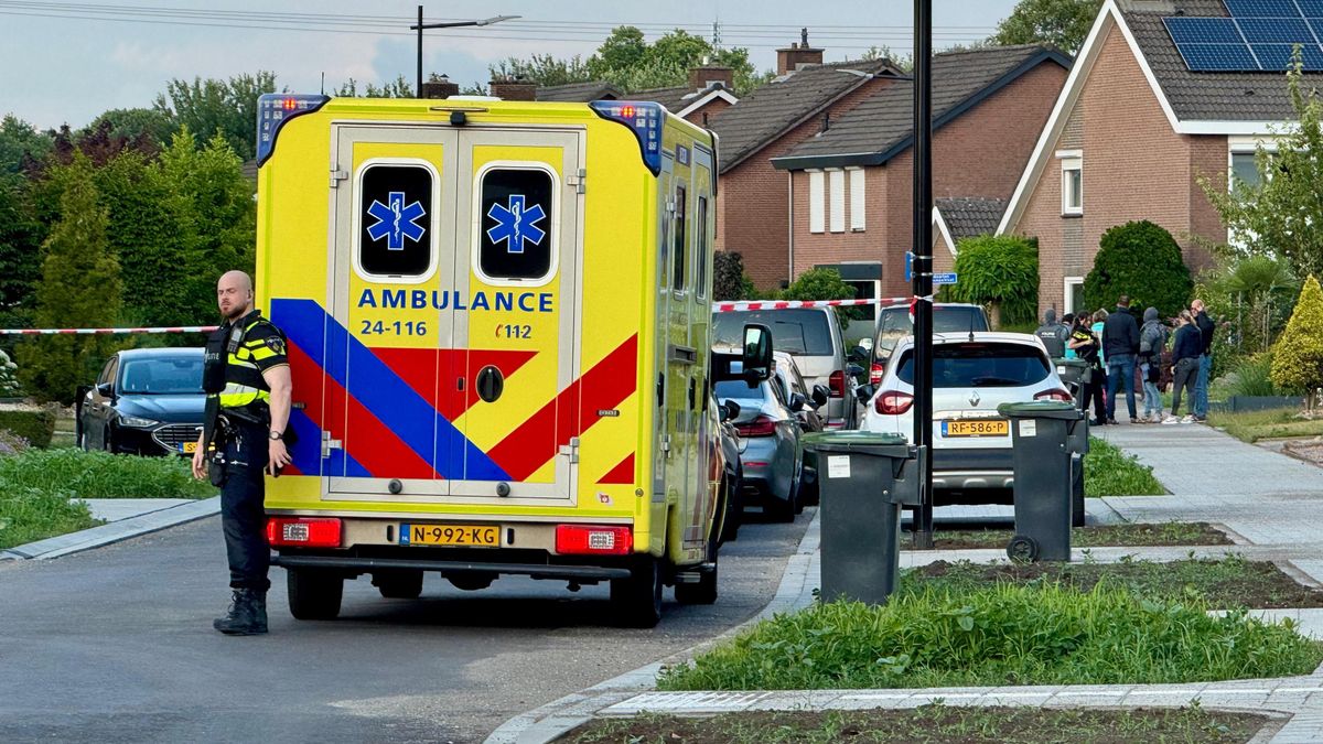 Wapen, munitie en verdovende middelen gevonden in woning Elsloo