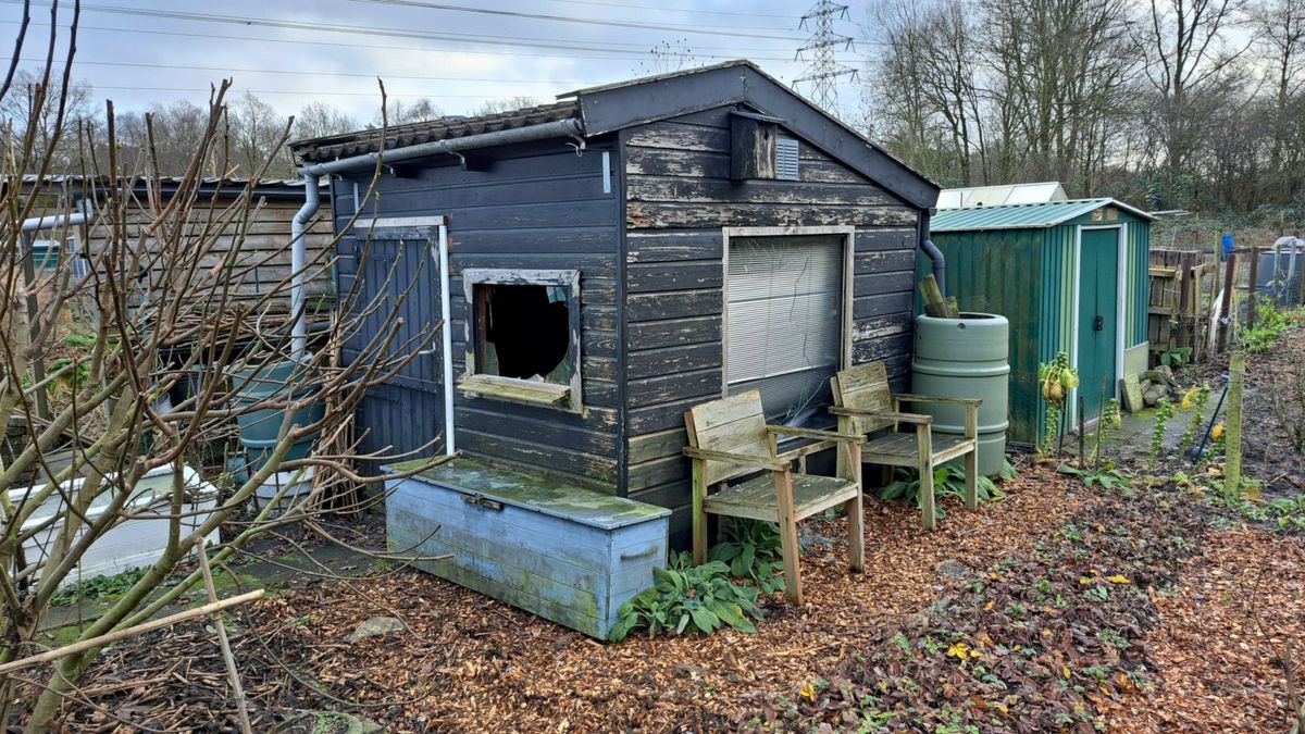 Vandalen slaan weer toe bij tuinders in Baggelhuizen: 'Ben er echt wel kapot van'