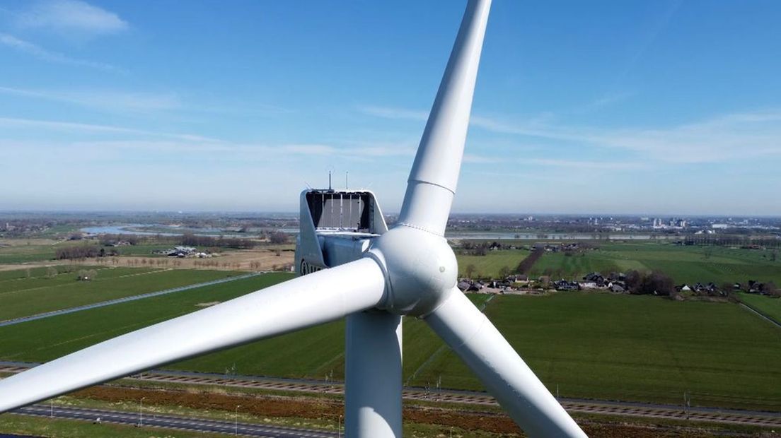 Gaat de wespendief de windmolenplannen op de Veluwe blokkeren?