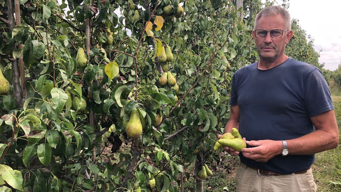 Fruitteler Etienne van der Wielen