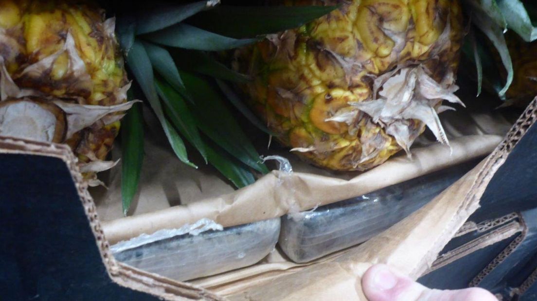 De cocaïne zat verstopt tussen een lading ananassen