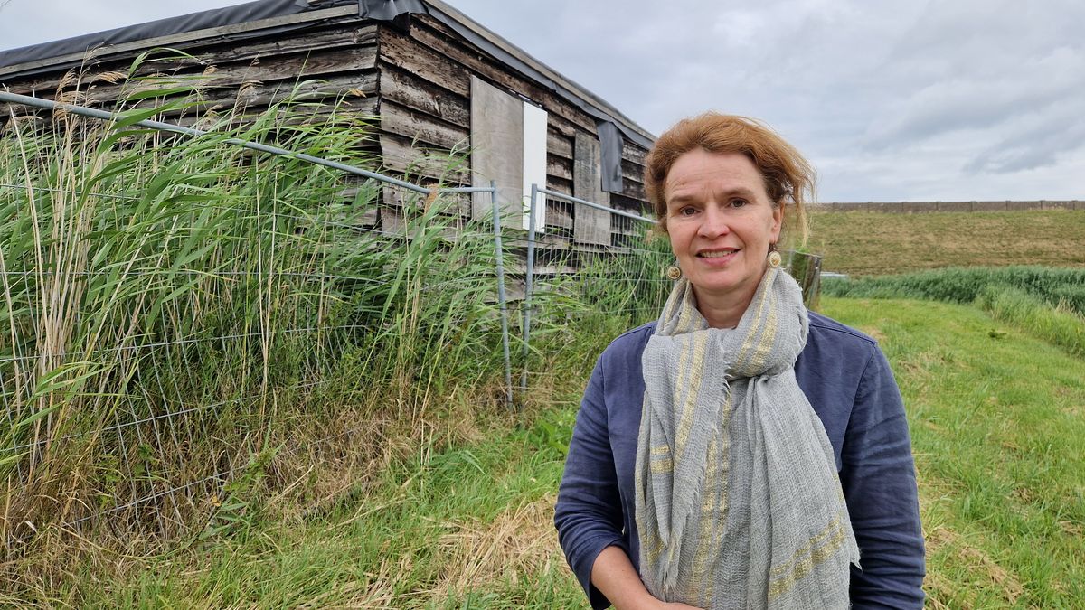 Nieuwe juridische strijd dreigt om Napoleonschuur: 'Gemeente hield ons zeven jaar aan het lijntje'