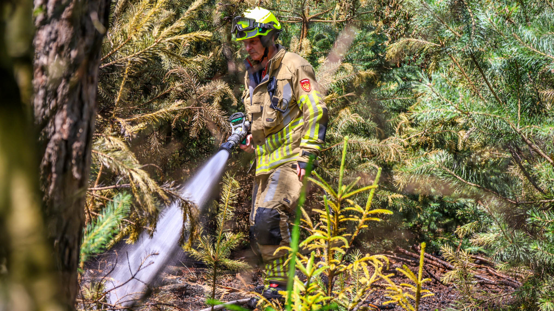 Natuurbrand in Den Treek geblust