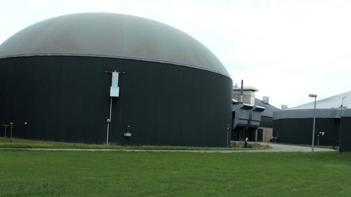 Eigenaar biovergister Witteveen komt onder duizenden euro's aan dwangsommen uit