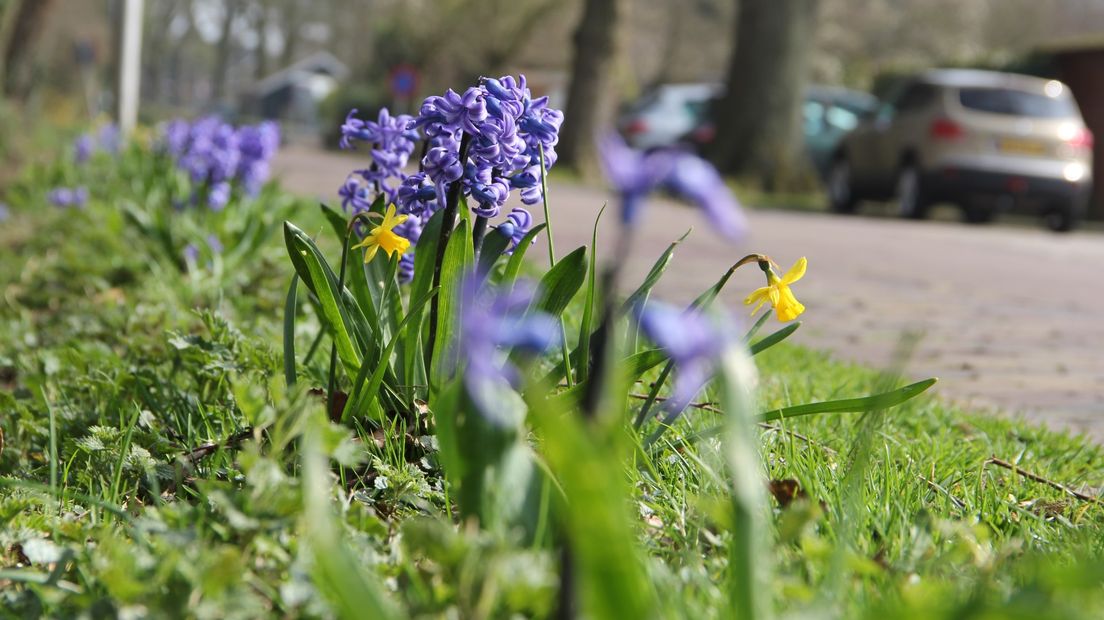 Lente in Drenthe