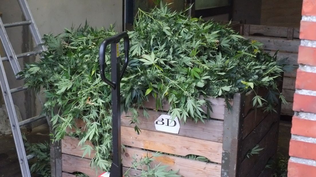 De kwekerij en de planten zijn vernietigd