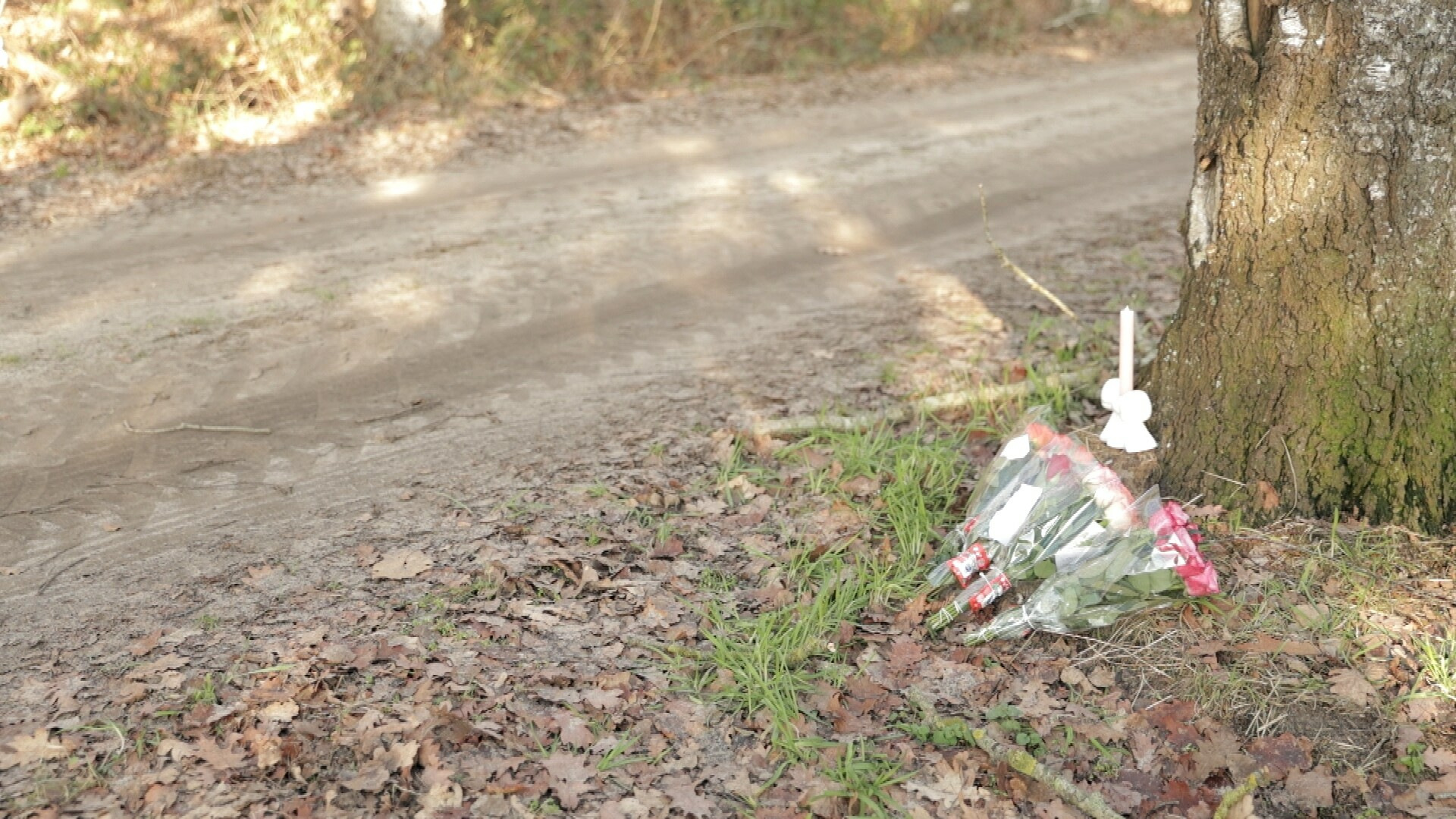 Vergunning en wapen ingenomen van jager die hond in Wapse doodschoot