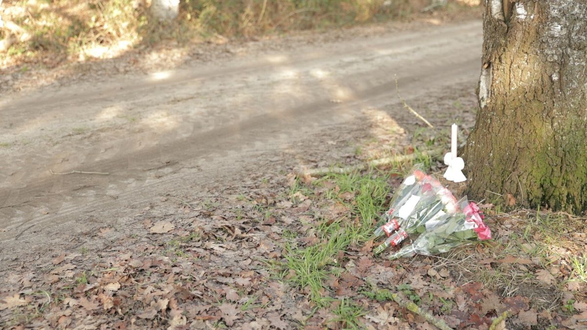 Vergunning en wapen ingenomen van jager die hond in Wapse doodschoot