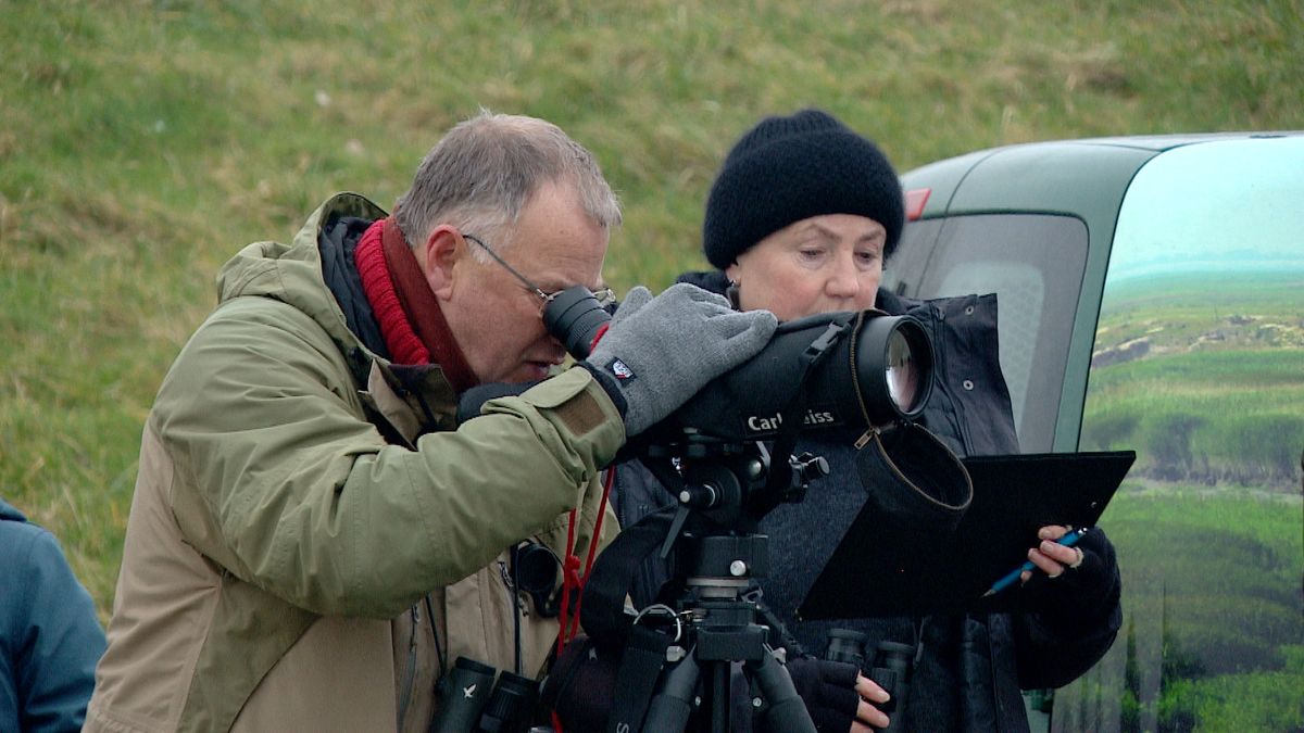 Ruim 14.000 ganzen geteld op de Hooge Platen