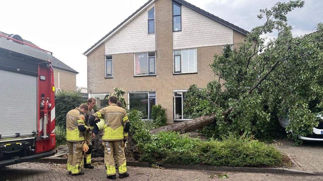 Tientallen bomen geveld door windhoos Kampen