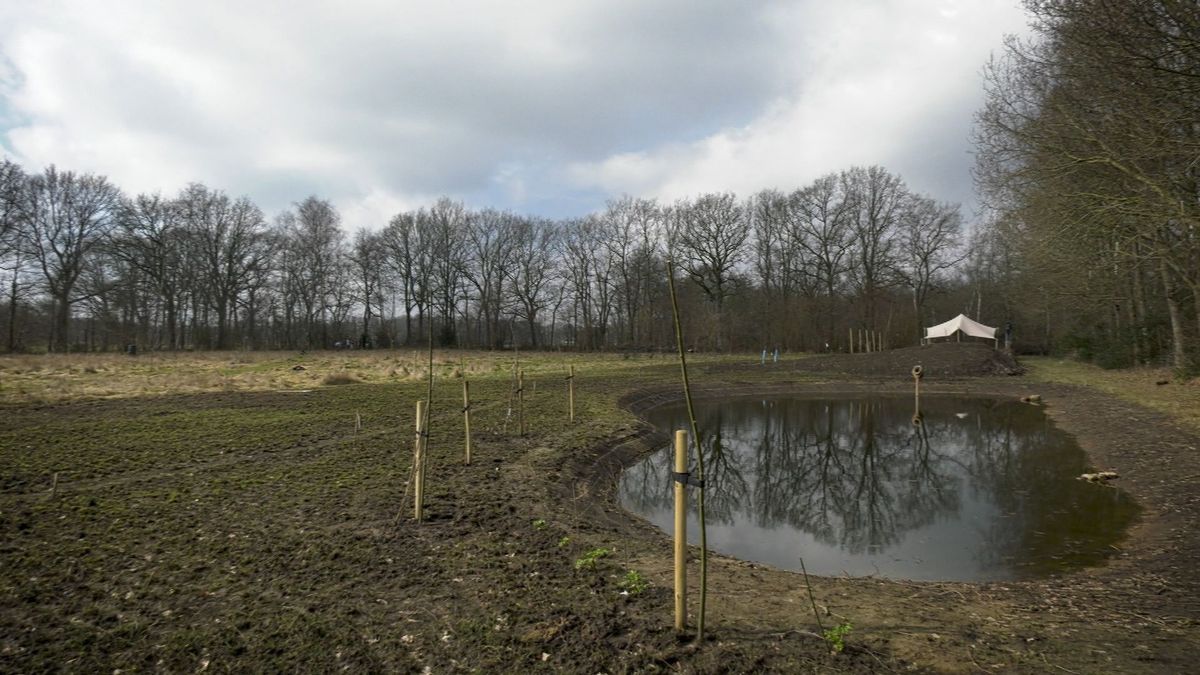 Vrijwilligers helpen bij ontwikkeling voedselbos