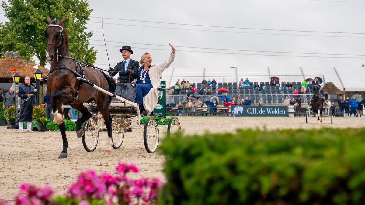 In Beeld: Frank Schuttert wint Grote Prijs Gemeente De Wolden