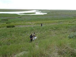 Insecten checken op een onbewoond eiland