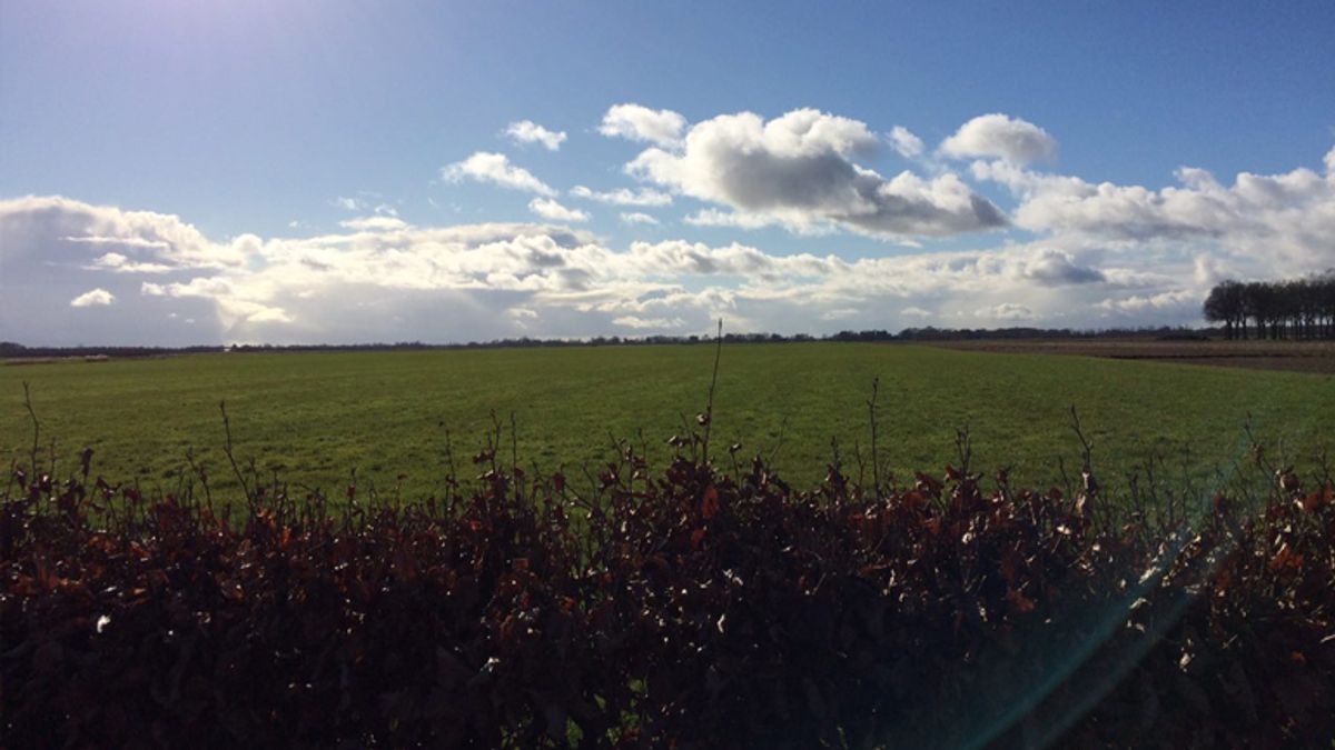 Inwoner Roswinkel baalt van windmolen pal voor de deur: Het breekt mijn hart