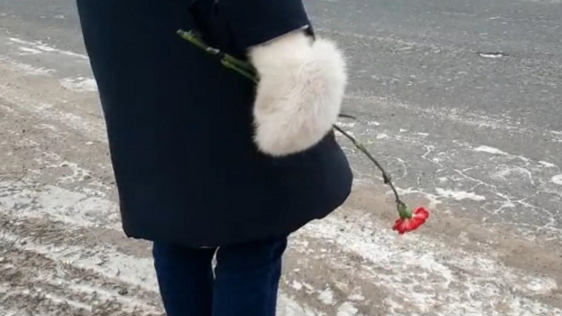 Blommen oan de dyk