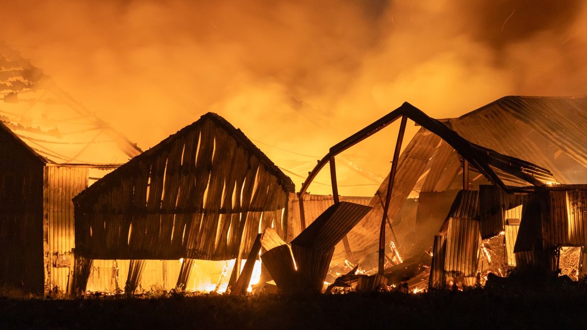 Drie loodsen volledig uitgebrand in Ternaard, woonhuis lijkt gered