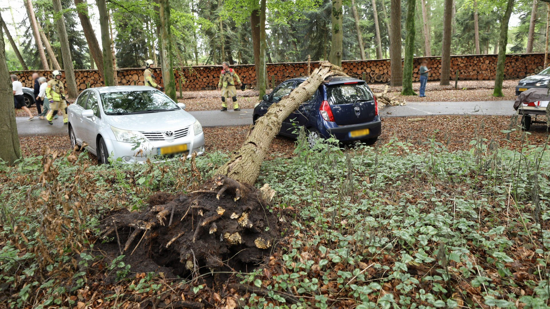 Rotte boom valt op geparkeerde auto, eigenaar nog niet gevonden