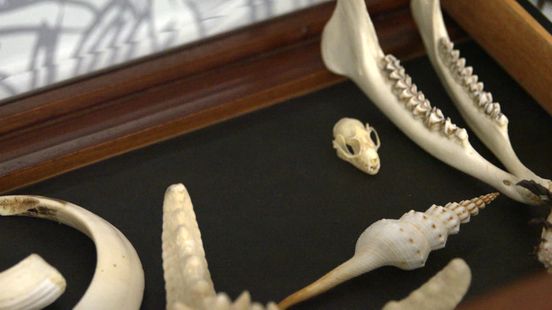 Lenn (8) en Jonathan (7) krijgen eigen tentoonstelling in Drents Museum