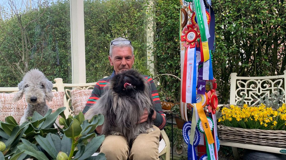 Wordt Cosy uit Zoutelande dé Hond van het jaar?