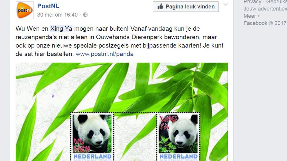 Pandazegels