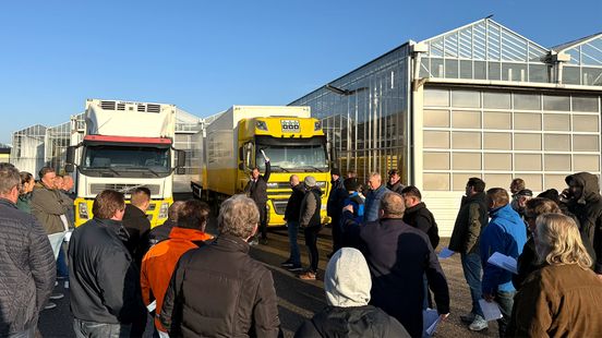 Curator in gesprek over doorstart plantenkwekerij Jongerius na faillissement Nieuws