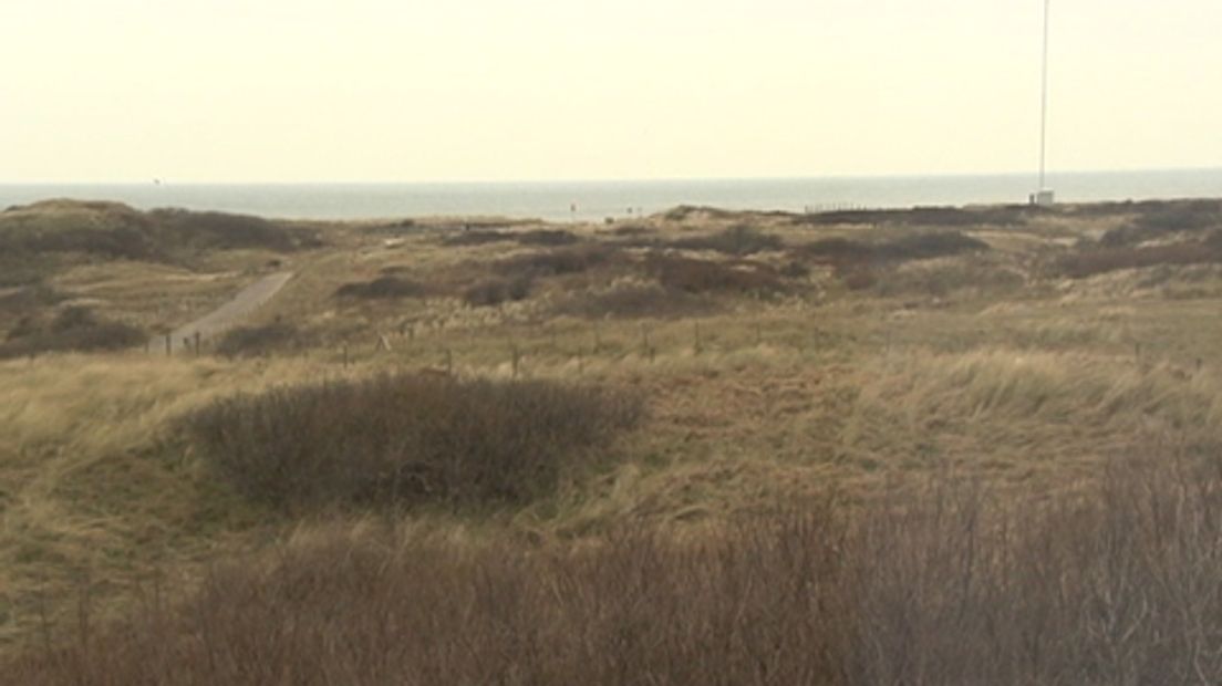 duinen-1301