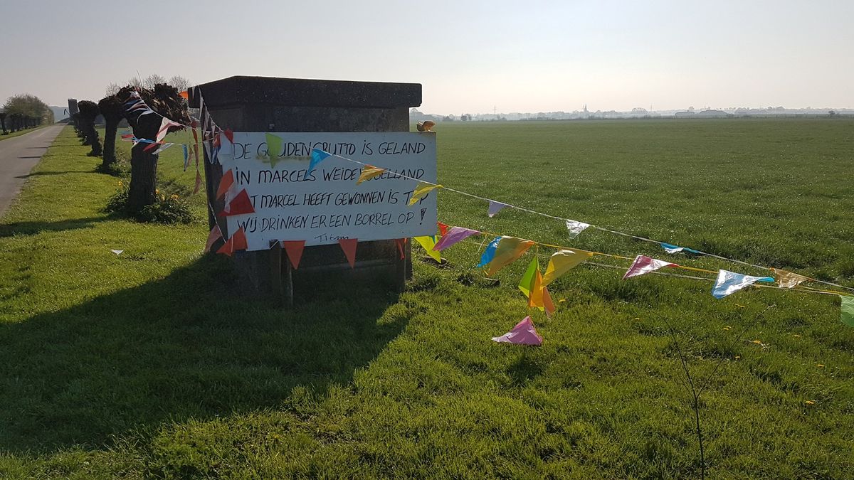 Gouden Grutto voor boer Strijtveen in Lierderholthuis