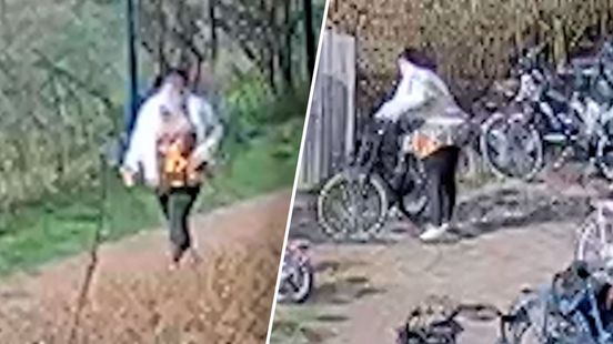 Vrouw steelt kinderfiets bij basisschool in Zutphen