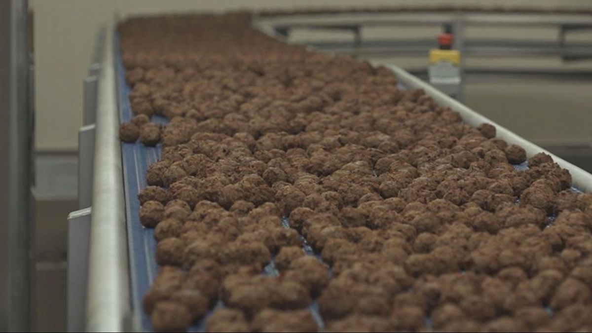 Vivera uit Holten krijgt toch geen boete voor benaming 'vega-gehakt'