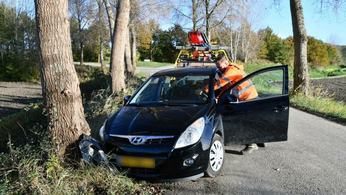 Vrouw mee naar politiebureau na botsing tegen boom in Heinkenszand